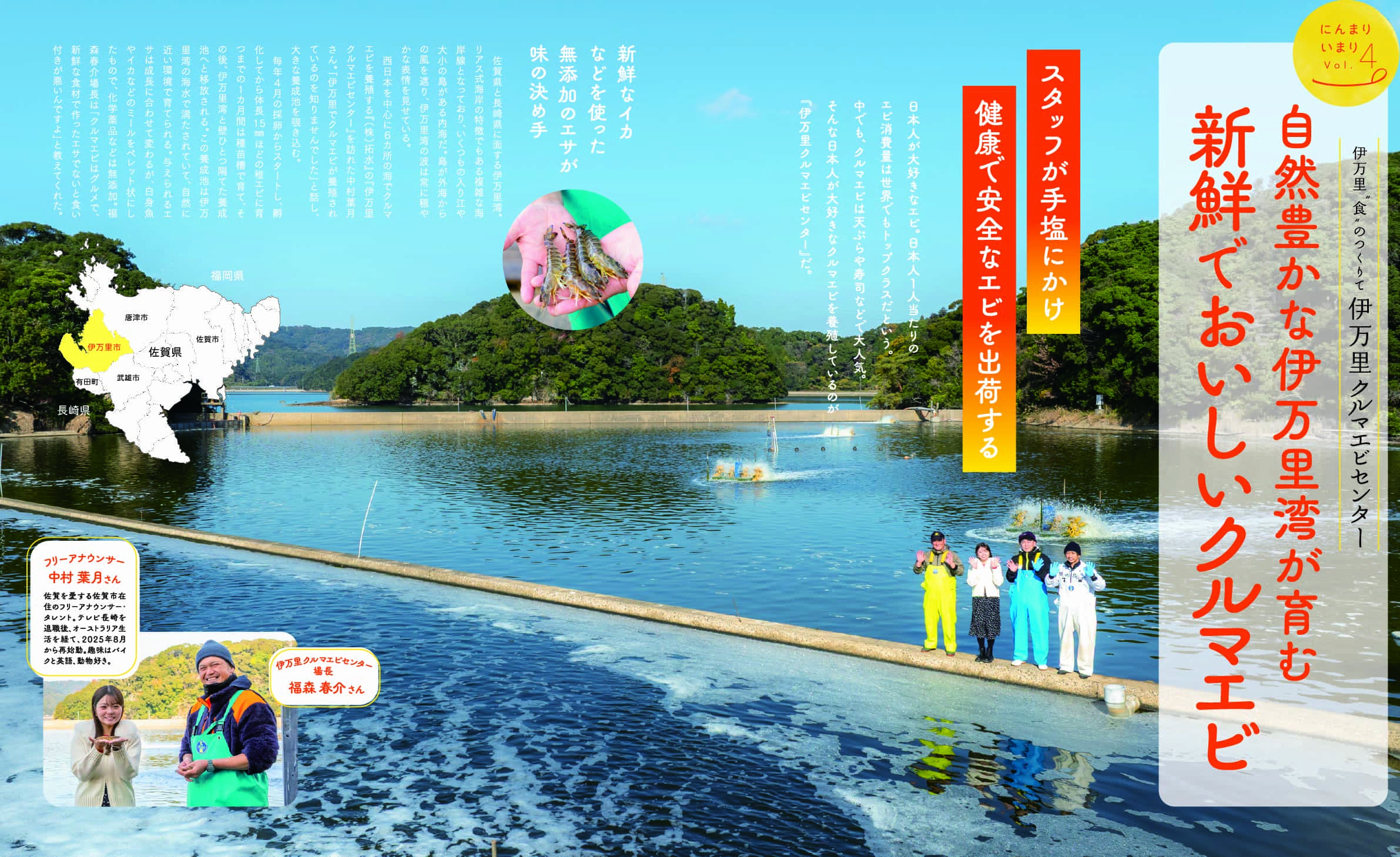 新鮮で美味しいクルマエビ